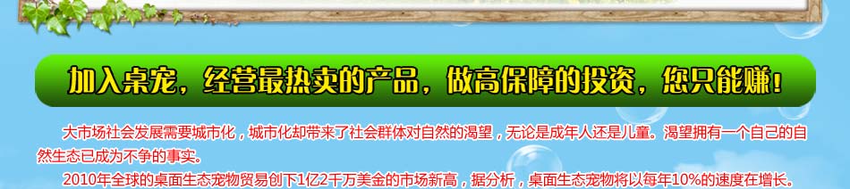 美格生态桌宠高质量的投资让你投资就赚