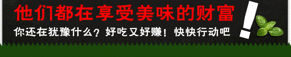 49度韩式炸鸡加盟韩国风味炸鸡开一家 火一家!