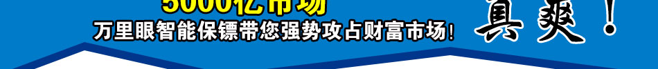 万里眼智能保镖统加盟智能无线家居系统十大品牌首选