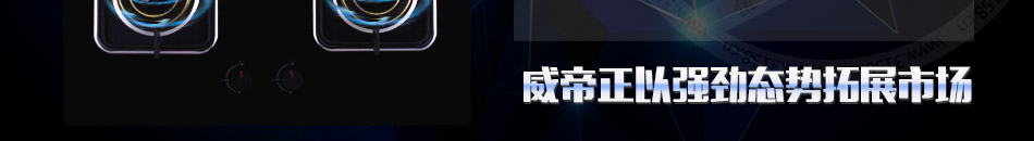 威帝厨卫连锁加盟市场消费广