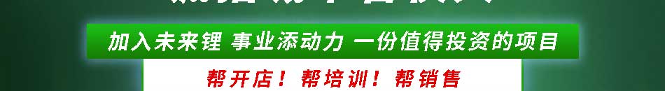 未来锂锂电池修复加盟支持