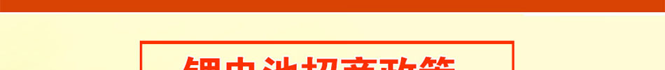 威锐士电动车加盟共价格低廉使用方便