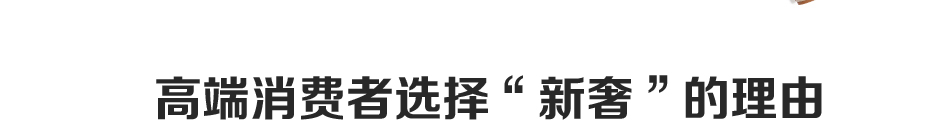 NEWLUX新奢奢侈品护理加盟实力雄厚