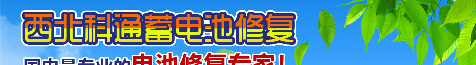 公司有一只专业致力于电池修复产品开发、生产和销售服务的团队，公司不断致力于成为领先者，在电池修复市场及领域不断发展。