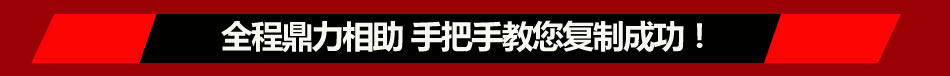 学车王汽车驾驶模拟器加盟 汽车模拟器加盟娱乐化学车产品,加盟代理都可以