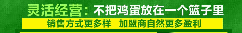 雅格尔折叠电动车加盟全程保姆式扶持,