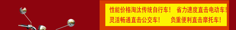 雅骊电动车加盟引领电子潮流前端