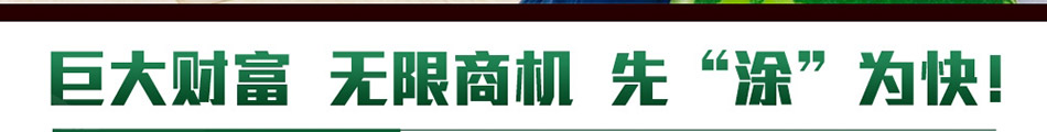 岩森态涂料加盟一对一专业扶持