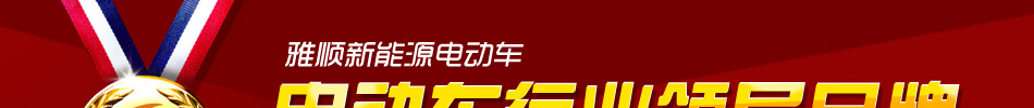 雅顺电动车加盟2014四轮电动车加盟好项目!