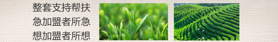 举溪溢福茶业加盟茶叶代理