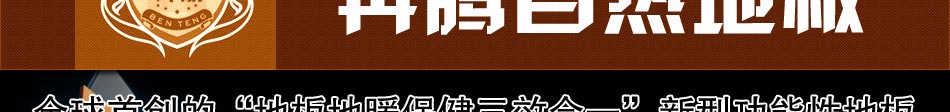 全球首创地板地暖保健地板奔腾自热地板