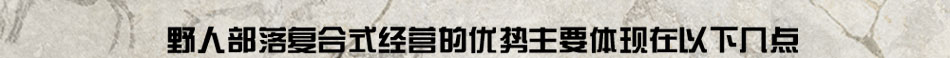 野人部落投资者的致富良机