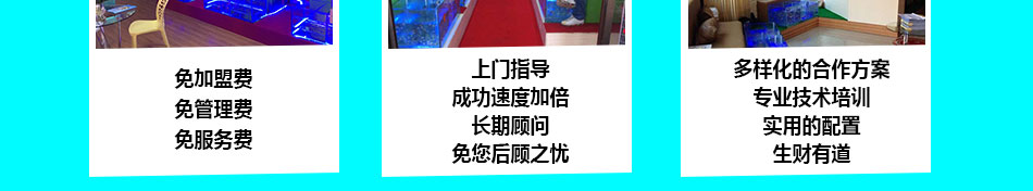 鱼之情香薰鱼疗养生加盟高回报新颖项目