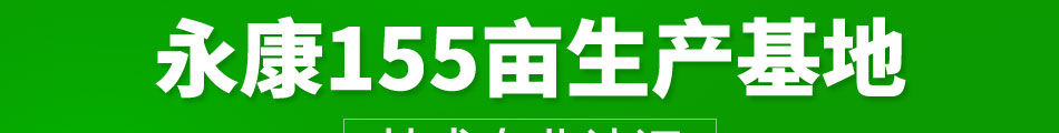 中首光伏太阳能发电加盟发展空间大