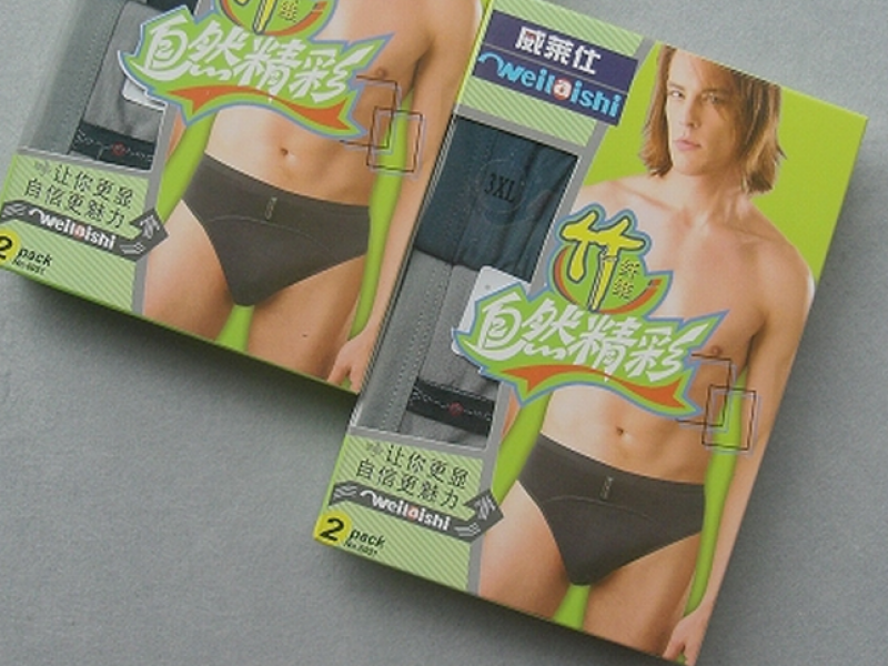 贝蕾莎内衣_蕾姆图片内衣(3)