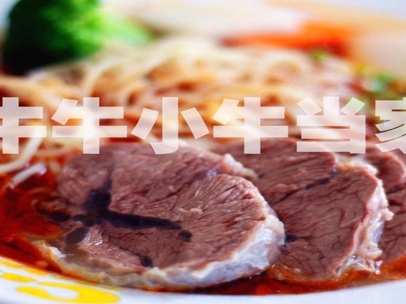 牛牛小牛当家牛肉面