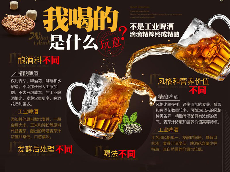 圣伯纯精酿鲜啤