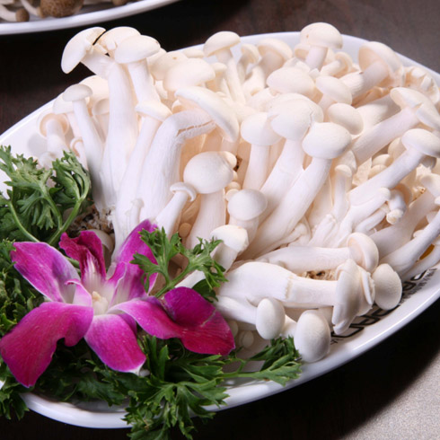 金针菇