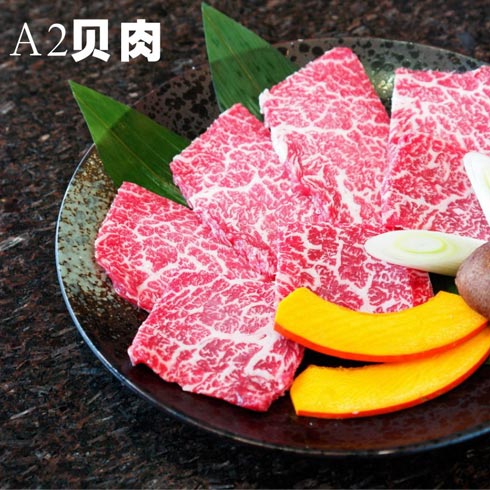 贝肉