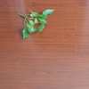 欧诺莱思品牌木地板