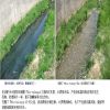 华川环保-BIO-Liquid土壤改良剂