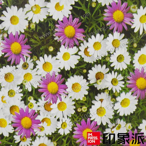 印象派家居彩装膜