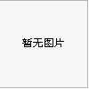 修补钢丝轮胎外胎专用气囊