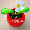 太阳能苹果花