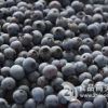 森森山特产品 蓝莓冻果
