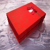 现货高档 双支红酒盒 礼品盒 包装盒 纸盒 酒水包装 PT32红色