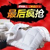 佰燕家纺/厂家直销/新款羽丝绒春秋被子/超柔磨毛冬被芯/批发