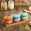 【瑜美陶瓷】日式彩绘猫陶瓷调味罐3件套礼品套装 调味盒 调料罐