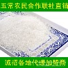 五常稻花香大米 大米批发 东北大米  纯度100% 可来包装代加工