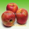 泰纳国际果业苹果