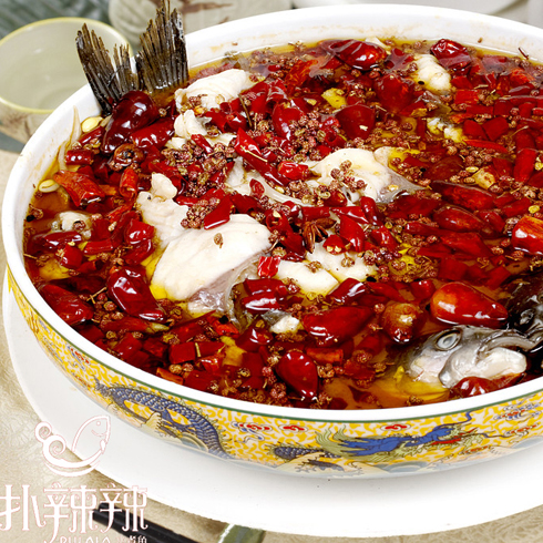 极品状元松蘑鱼