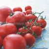 创新番茄红素
