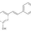 木兰生物白藜芦醇