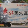 东北食用菌黑木耳礼盒