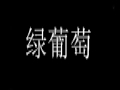 绿葡萄服饰