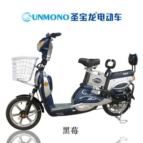 圣宝龙电动车产品-圣宝龙黑莓电动车