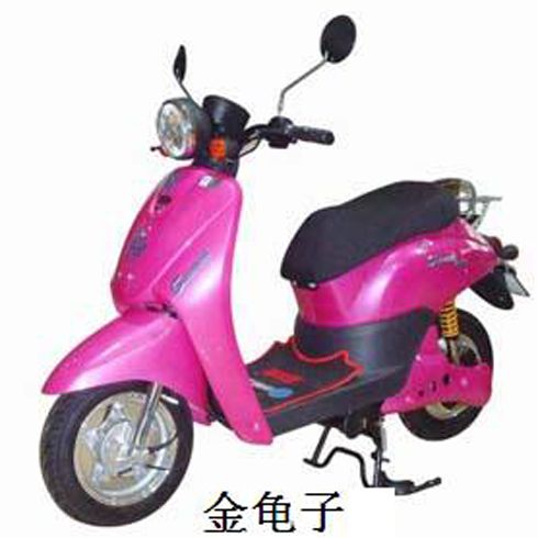 圣宝龙电动车产品-圣宝龙金龟子电动车