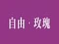 自由玫瑰女装