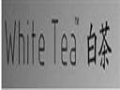 白茶女装