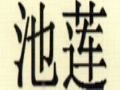 池莲女装
