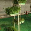 蔬心园芽苗菜产品-无土裁培芽苗菜