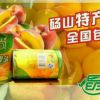 安徽砀山精品黄桃罐头 晶尚品牌黄桃罐头 全国招代理 一件代发