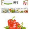 硅卡咕韩式烤肉-蔬菜类