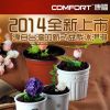 艺莎盆栽冰淇淋-清凉冰淇淋