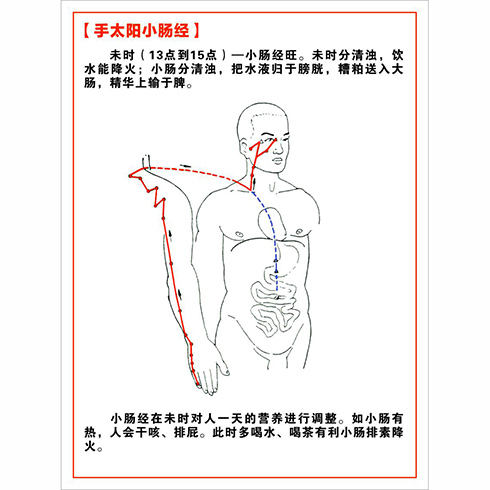 手太阳大肠经