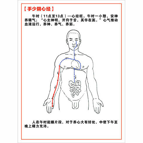 手少阴心经